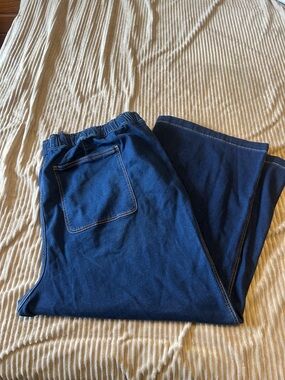 Lane Bryant Dark Indigo Stretch Jeggings with Contrast Stitching